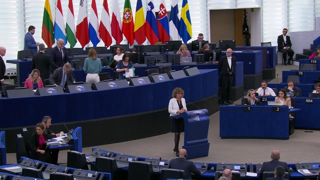 EU strategy in response to the ongoing Middle East crisis, its implications on energy prices and the availability of fertilizers: MEPs debate (part 1)